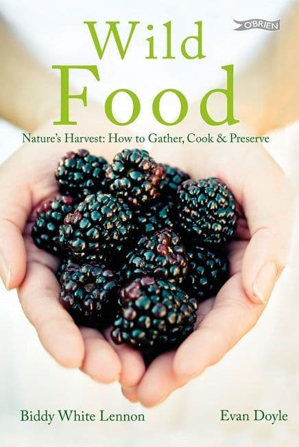 Wild Food a book for Nature's Harvest