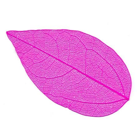 Skeleton Leaves Pink  4-6 cm, 10 pieces  (24105)