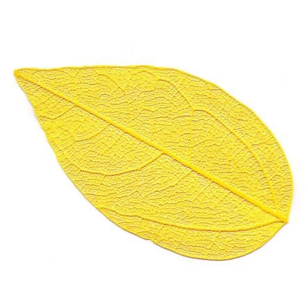 Skeleton Leaves Yellow  4-6 cm, 10 peces  (24101)